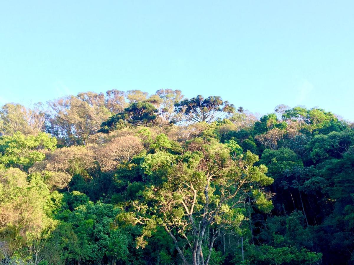 Bed and Breakfast Sitio Belucci Pinhalzinho  Esterno foto